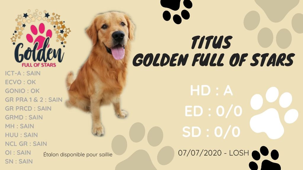 Titus, étalon disponible pour saillie