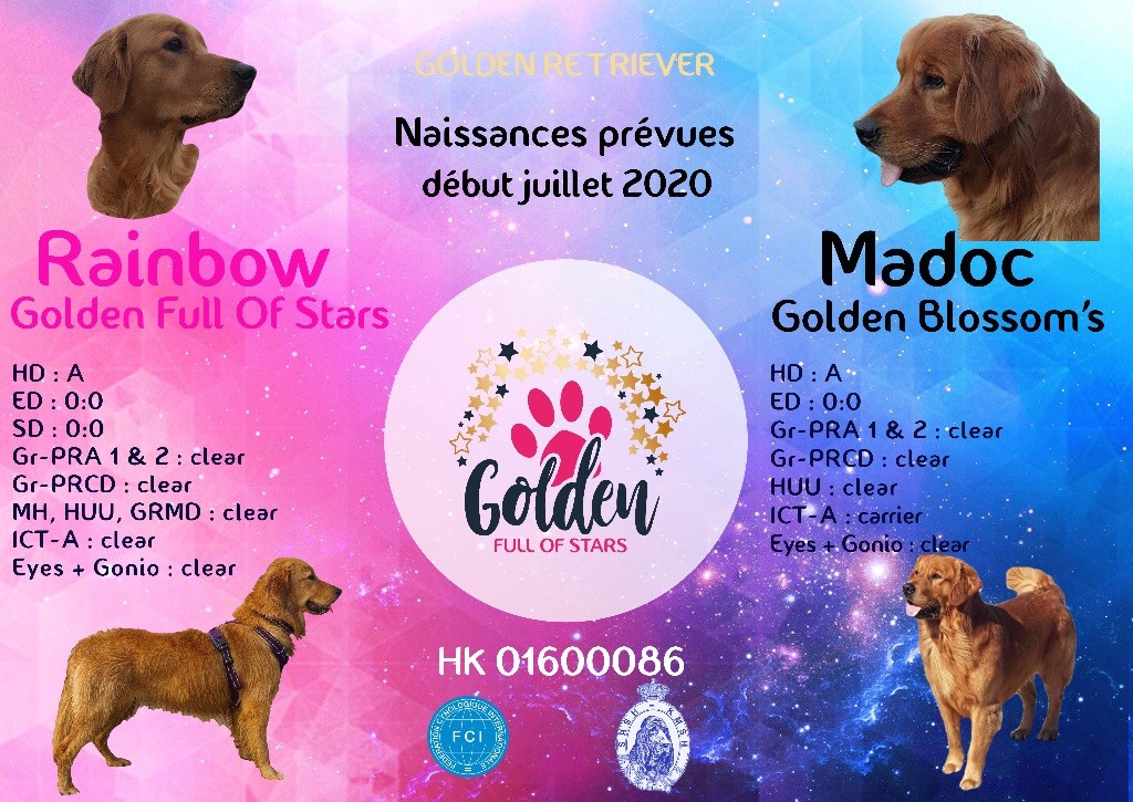 Portée Rainbow juillet 2020